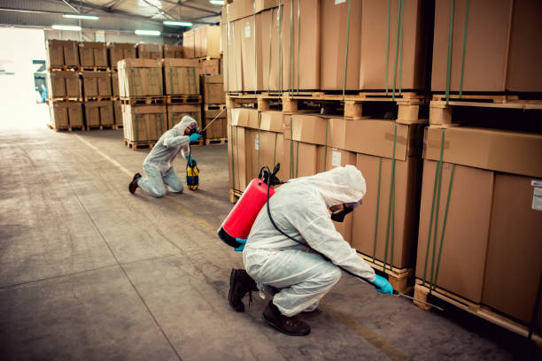 Best Emergency Pest Control  in Bellevue, NE