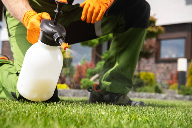 Best Termite Control Services  in Bellevue, NE