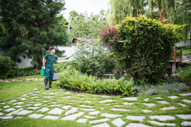 Best Pest Prevention Services  in Bellevue, NE