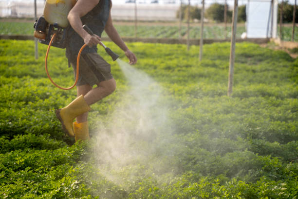 Best Best Pest Control Companies  in Bellevue, NE