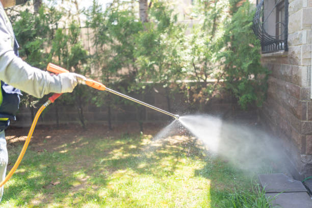 Best Commercial Pest Control Services  in Bellevue, NE