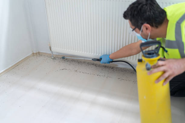 Best Pest Inspection Near Me  in Bellevue, NE